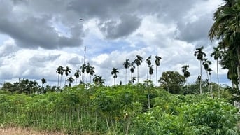CHÍNH CHỦ ĐẤT Ở, ĐẤT KINH DOANH 