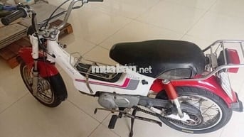 Xe chaly 50cc