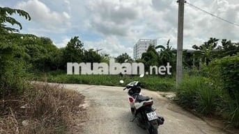 ❌Đất thổ đẹp- Phường 7 - Tp Tân an ( Thuộc Phường Long An ) ❌