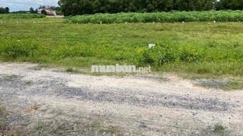 12 lô full thổ cư tại Tân Phong Tân Biên Tây Ninh