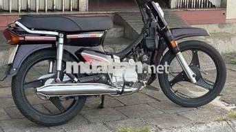 honda citi nhật bstp chính chủ
