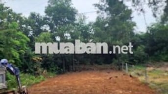 Đất mặt tiền đường nhựa 7m5 lề 3m đường DH 8