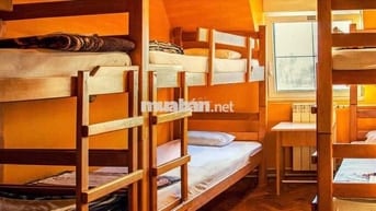 KTX Sinh Viên Đh Ngoại Ngữ Tin Học Tô Hiến Thành Q10
