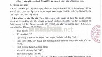BĐS tại Ấp Bến Chò, Thạnh Đức, Gò Dầu, Tây Ninh (Thạnh Đức, Tây Ninh)