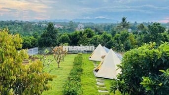 Thanh toán nợ gấp bán lỗ lô 515m2 giá 479tr tặng vườn tiểu cảnh