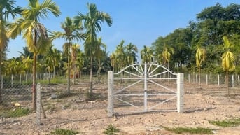 Xã lỗ 700tr. Lô đất 28x46 đường xe hơi. 1,8 tỷ
