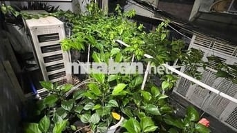 Phòng Quận 3, 10-15 m2, gần chợ Bàn Cờ, an ninh,Thoáng mát, tiện nghi