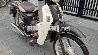 Cub 50cc