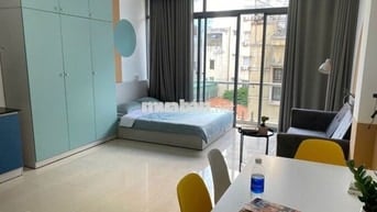 Căn hộ cho thuê Đinh Công Tráng quận 1 Full nội thất