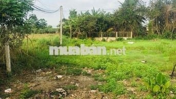 Đất thổ cư 200m2 - phước vân, cần đước, long an