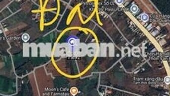 Bán 1000m2 - 300 Tr tại TP Pleiku Gia Lai cách QL19 400M