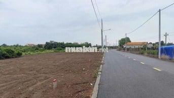 Bán đất chợ Láng Dài - 226m2 -1,35 tỷ Đường Nhựa xe hơi