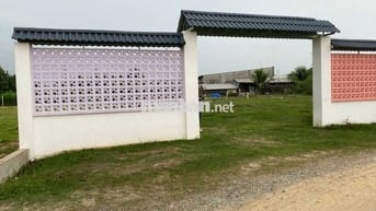 Bán gấp lô đất thổ cư 147m² trung tâm Hậu Nghĩa – Giá chỉ 850 triệu!