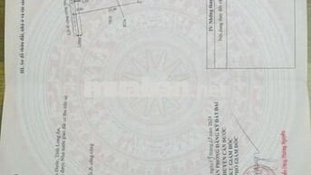 Đất nền Tân Lân, Cần Đước cực chất cho ai muốn xây dựng tổ ấm/ đầu tư