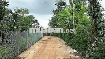 ĐẤT CÁCH PHỐ 9km đường bê tông vi vu nguyên lốc