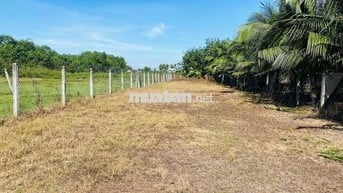 Tôi cần bán lô đất ngay chợ Trảng Bàng ngang 10m giá 300tr sổ hồng