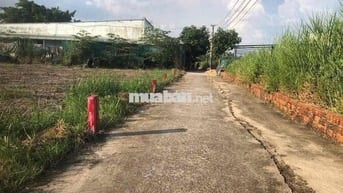 BÁN ĐẤT HXH, LÔ GOC , ĐẠI PHƯỚC NHƠN TRẠCH ĐỒNG NAI 80 M , CHỈ 1 ty250