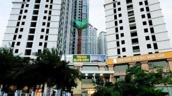 Mua ưu đãi CH 2PN dự án Tecco Thái Nguyên tốt nhất 1,5x tỷ vốn 