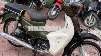 Cup 50cc 2022