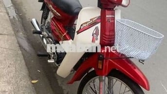 Dream lùn đời cuối 1998 báo số