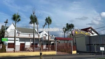 Đất sổ hồng 180m2 đường Mai Anh Đào