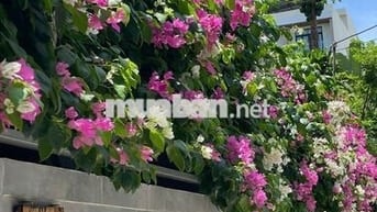 BÁN ĐẤT KIỆT OTO CHẾ LAN VIÊN THÔNG VÕ NGUYÊN GIÁP - 105M2 NỞ HẬU
