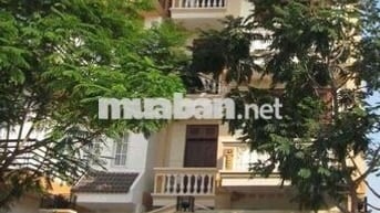 Nhà MT Q7 1MB 10P PHÙ HỢP LÀM CHDV
