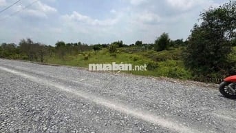 Đất vườn dt 2005,6mv giá 1tỷ 799tr bình đức bến lức Long An.Đường8m