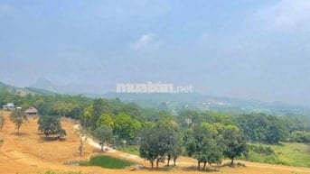 Bán hơn 4ha đất nghỉ dưỡng view đẹp giá rẻ tại Lương Sơn Hòa Bình