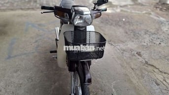 Zim hàn quốc. Bs 63 cà vẹt đầy đủ .