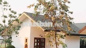 Chuyển công tác cần bán gấp lỗ lô 330m2 tặng nhà full nội thất 690tr