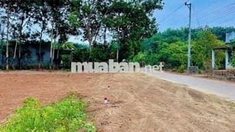 Gia đình cần tiền bán gấp miếng  đất nền gần ngay chợ Long Hà Đồng Nai