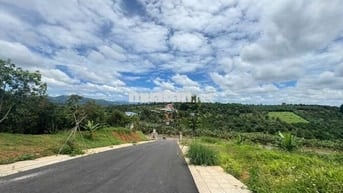 Cần bán gấp đất nền full thổ cư