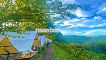 Chính chủ cần sang nhượng gấp đất vườn tại Đồng Nai do chuyển về quê