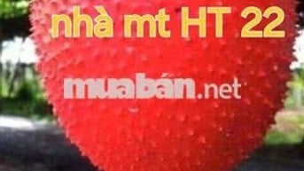 Nhà mt HT 22 khu chợ buôn bán ngày đêm