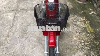 Xe Dream HQ dọn kiểng