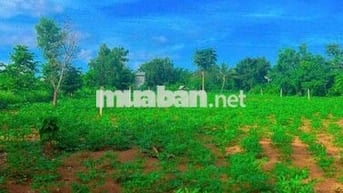 🌿 LÔ ĐẤT 2 MẶT TIỀN TRƯỚC SAU – GIÁ CỰC MỀM CHỈ 1 TỶ 299 🌿
