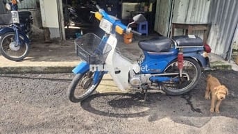 Xe cúp nhật