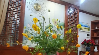 Căn hộ D'El Dorado - Nâng tầm trải nghiệm sống bên Hồ Tây
