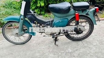 cúp 50cc