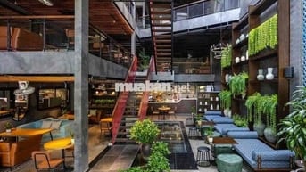 VILLA KẾ ĐH HỒNG BÀNG BÌNH THẠNH NGANG 15M SD ~ 1350M2 CÓ SÂN VƯỜN