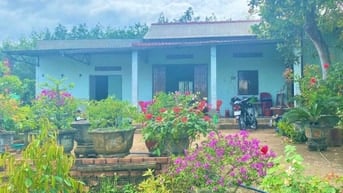 Chú Tám cần bán đất vườn trái cây sẳn nhà cấp 4 ở Bình Dương, rộng 254