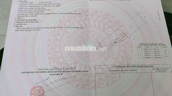 CHÍNH CHỦ BÁN LÔ ĐẤT 1000M2 NHỰA 5M BÌNH LỢI BÌNH CHÁNH GIÁ 2,8TỶ