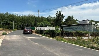 ĐẤT NỀN LONG TÂN DẦU TIẾNG 249M² – MT NHỰA XE HƠI, GIÁ TỐT 590 TRIỆU
