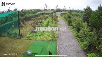 Đất nông nghiệp 3000m2 tại Đông Anh giá 3,XX tỷ