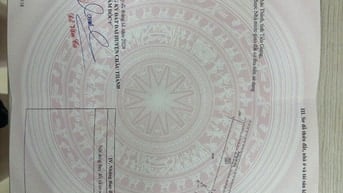 Đất nền siêu hót tại xã tân hương