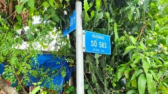 Đất thổ cư Mt đường nhựa giá đầu tư siêu hời 