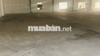 Cho thuê kho xưởng 1.300m2–2.500m2 ngoài KCN Bến Lức Long An, cont 24H