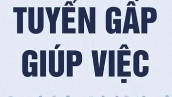 Tuyển nữ giúp việc nhà (từ 40 -55t) làm việc ở phường 7, quận 8 