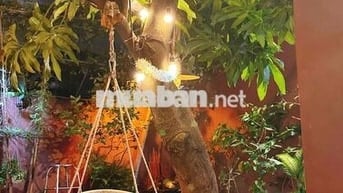 Cho thuê căn 2PN sân vườn để xe hơi gần chợ Vườn Lài( Miễn Trung Gian)